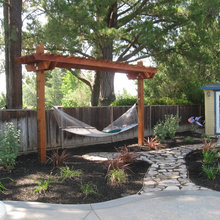 Landscape Ideas for Spartina