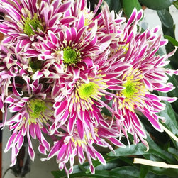 Our Flowers - Products