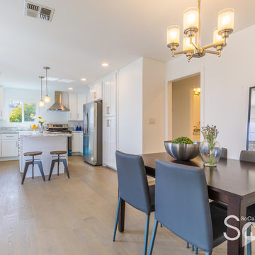 Venice Remodel
