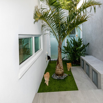 New Modern Cat Outside Room, FL