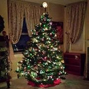 Stephanie Meagher's photo