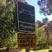 Ben Roberts's photo