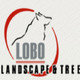 Lobo Landscape & Tree