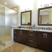 shower/bath door