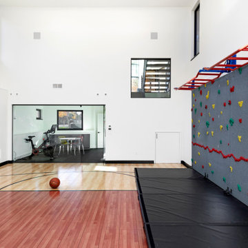 Home Indoor Fitness Center with Climbing Wall and Monkey Bars