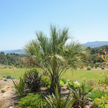 Aménagement de jardin & piscine