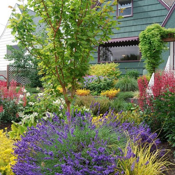 Ballard Color Garden