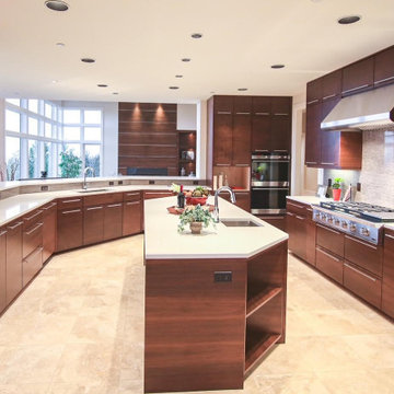 Rich Contemporary Kitchen Remodel