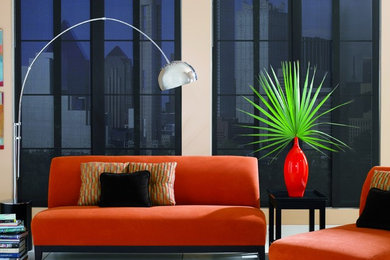 Living room - modern living room idea in Phoenix