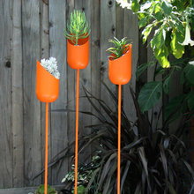 marisa_larsen's Ideas