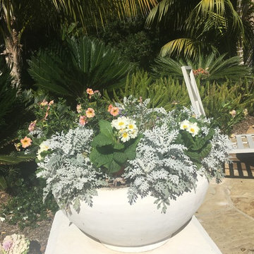 Pot Design