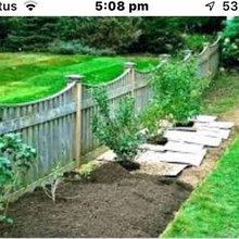 Fencing and Garden Ideas