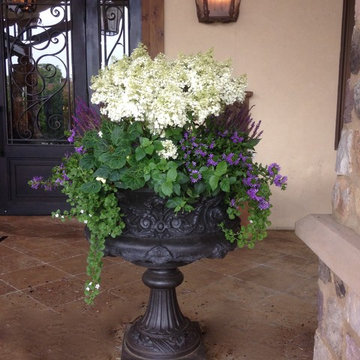 Annual Planting