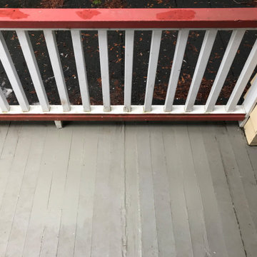 Dry Rot Repair