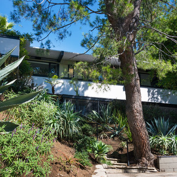 Laurel Canyon Residence