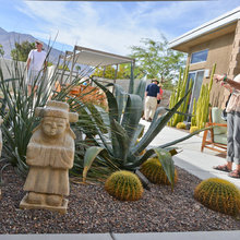 Landscape Ideas