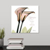 Callas Happiness x-ray photography Wrapped Canvas Art Print, 12"x12"x1.5"