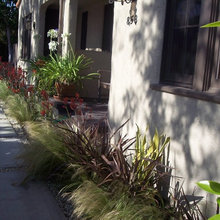front walkway