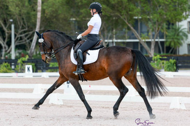 Deann Hammer, owner of Broadway Design is a competitive Dressage equestrian