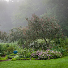 Garden ideas for RDL