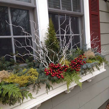 Christmas Window Boxes