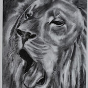 Katharine Knoodle's photo