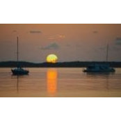 Leila Short's photo