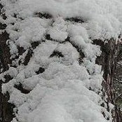 David Weidner's photo