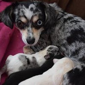 John Giroux's photo