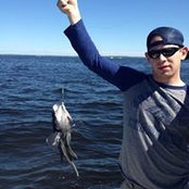 Chad DeNardis's photo