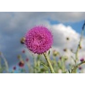 Rachel Bethard's photo