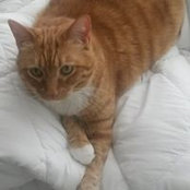 Christine Causey's photo
