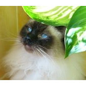 Karen McLeod's photo