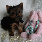 Cindra Elliott's photo