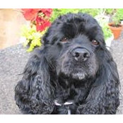 Doris Giroux's photo