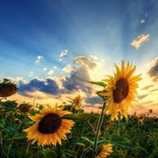 Paul Ciccarelli's photo
