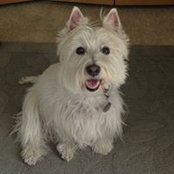 Susan Gall's photo