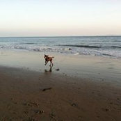 Sheila Madson's photo