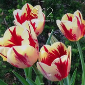 Karen Easter Crich's photo