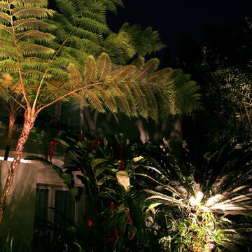 Landscape Lighting