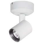 WAC Lighting - WAC Lighting Lucio 1-Light LED 10W Monopoint in White - Lucio is an architectural LED luminaire with fine tuned optics designed for applications where the details matter. Lucio features the option for an ultra narrow beam with a tight 6-8 degree beam spread or an Asymmetrical spread for a clean wall wash with minimal light spillage. Available in a variety of color temperatures and beam distributions including asymmetric, flood, narrow, spot, and ultra narrow. Lucio accomodates 1 lens and 1 glare control accessory applied with ease through the tool-free tortion spring cover. 365 degree horizontal aiming and 90 degree vertical aiming with indexed markings to propogate settings on nearby fixtures with ease.  This light requires 1 , 10W Watt Bulbs (Not Included) UL Certified.