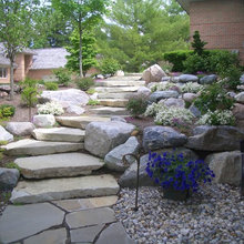 Backyard Realistic Dreaming