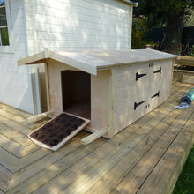 Dog House