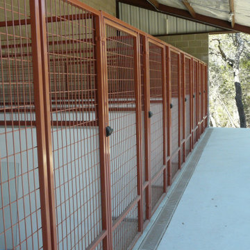 Colorful Kennels and Animal Enclosures