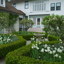 Courtyard Gardens