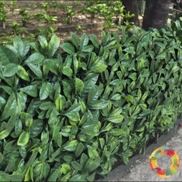 Ranka Lasting Greenery