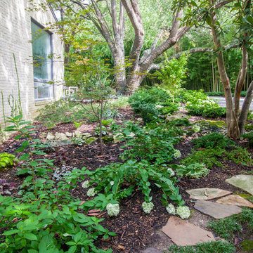 Modern Woodland
