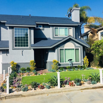 Succulent Splendor in Eastside Costa Mesa