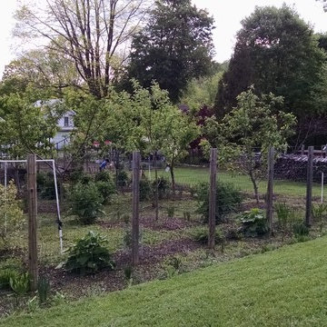 fruit orchard