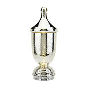 Mercury Glass Illuminated Apothecary Jar, Silver